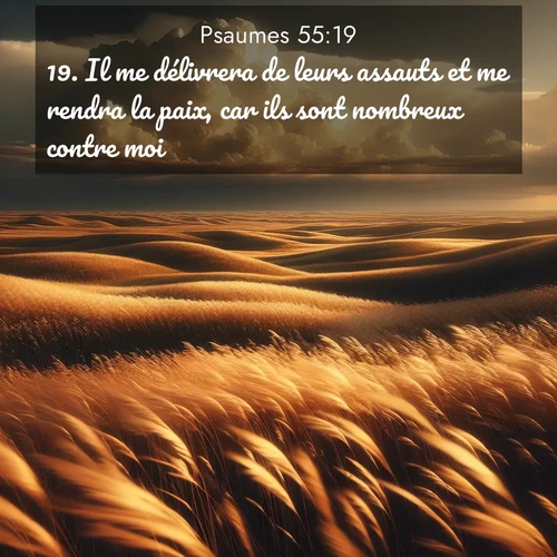 Segond21 Psaumes  ; image nature: image avec le verset biblique :Il me délivrera de leurs assauts et me rendra la paix, car ils sont nombreux contre moi. ;  ; 55:19