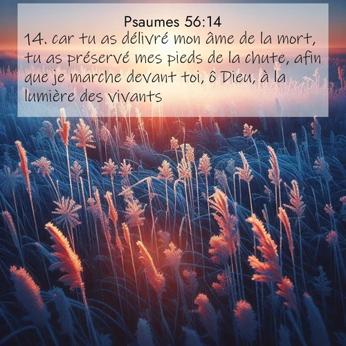 Segond21 Psaumes  ; image nature: image avec le verset biblique :car tu as délivré mon âme de la mort, tu as préservé mes pieds de la chute, afin que je marche devant toi, ô Dieu, à la lumière des vivants. ;  ; 56:14