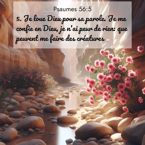 Segond21 Psaumes  ; image nature: image avec le verset biblique :Je loue Dieu pour sa parole. Je me confie en Dieu, je n&#039;ai peur de rien: que peuvent me faire des créatures? ;  ; 56:5