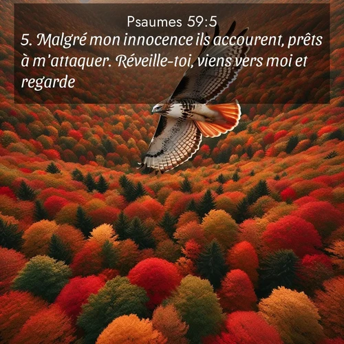 Segond21 Psaumes  ; image nature: image avec le verset biblique :Malgré mon innocence ils accourent, prêts à m&#039;attaquer. Réveille-toi, viens vers moi et regarde! ;  ; 59:5
