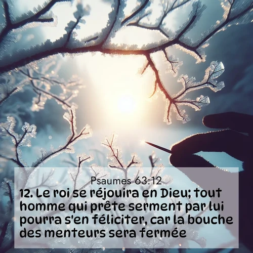 Segond21 Psaumes  ; image nature: image avec le verset biblique :Le roi se réjouira en Dieu; tout homme qui prête serment par lui pourra s&#039;en féliciter, car la bouche des menteurs sera fermée. ;  ; 63:12