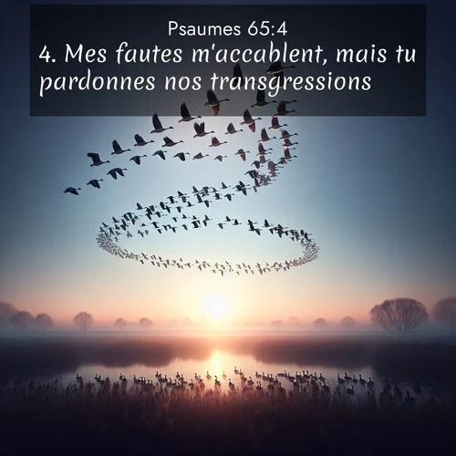 Segond21 Psaumes  ; image nature: image avec le verset biblique :Mes fautes m&#039;accablent, mais tu pardonnes nos transgressions. ;  ; 65:4