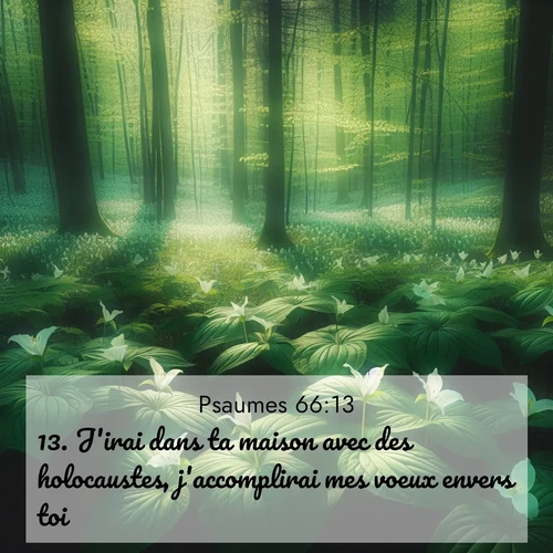 Segond21 Psaumes  ; image nature: image avec le verset biblique :J&#039;irai dans ta maison avec des holocaustes, j&#039;accomplirai mes voeux envers toi: ;  ; 66:13