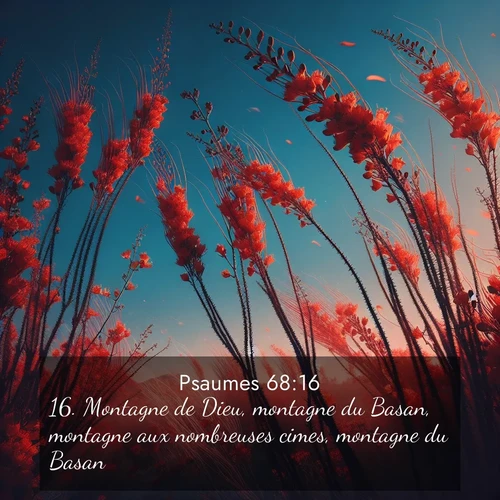 Segond21 Psaumes  ; image nature: image avec le verset biblique :Montagne de Dieu, montagne du Basan, montagne aux nombreuses cimes, montagne du Basan, ;  ; 68:16