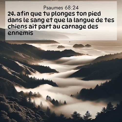 Segond21 Psaumes  ; image nature: image avec le verset biblique :afin que tu plonges ton pied dans le sang et que la langue de tes chiens ait part au carnage des ennemis.» ;  ; 68:24