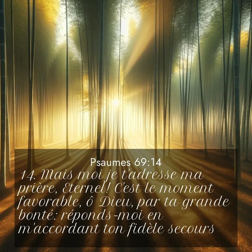 Segond21 Psaumes  ; image nature: image avec le verset biblique :Mais moi je t&#039;adresse ma prière, Eternel! C&#039;est le moment favorable, ô Dieu, par ta grande bonté: réponds-moi en m&#039;accordant ton fidèle secours! ;  ; 69:14