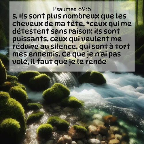 Segond21 Psaumes  ; image nature: image avec le verset biblique :Ils sont plus nombreux que les cheveux de ma tête, *ceux qui me détestent sans raison; ils sont puissants, ceux qui veulent me réduire au silence, qui sont à tort mes ennemis. Ce que je n&#039;ai pas volé, il faut que je le rende. ;  ; 69:5