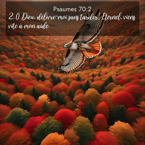 Segond21 Psaumes  ; image nature: image avec le verset biblique :O Dieu, délivre-moi sans tarder! Eternel, viens vite à mon aide! ;  ; 70:2
