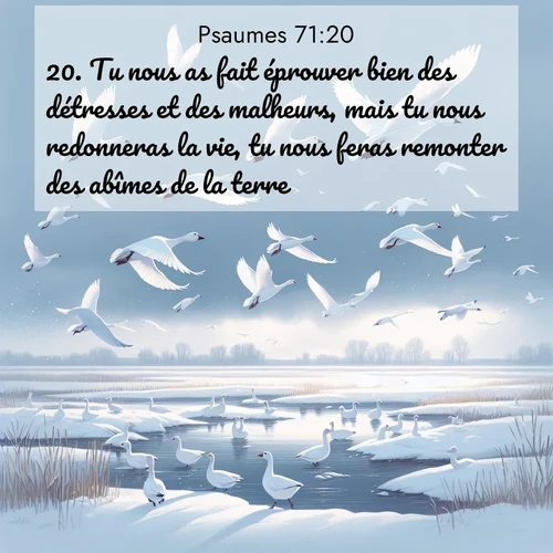image nature avec verset biblique de la Bible