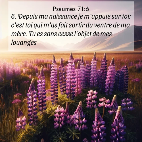 image nature avec verset biblique de la Bible