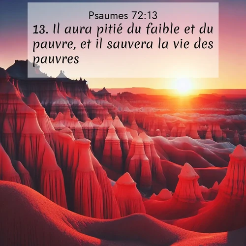 Segond21 Psaumes  ; image nature: image avec le verset biblique :Il aura pitié du faible et du pauvre, et il sauvera la vie des pauvres; ;  ; 72:13