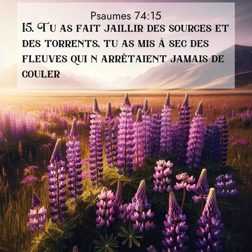 image nature avec verset biblique de la Bible