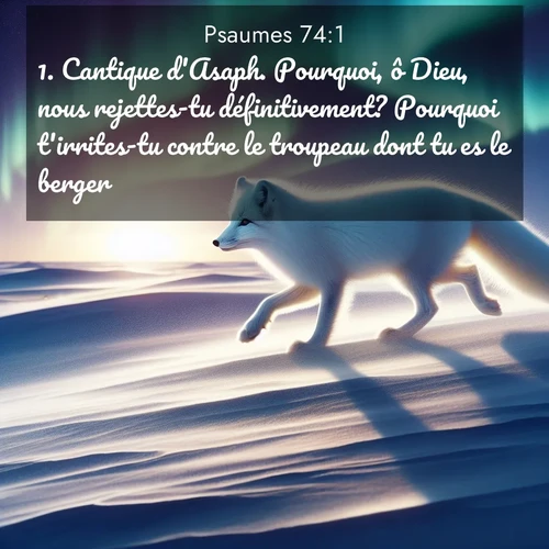 Segond21 19 74:1