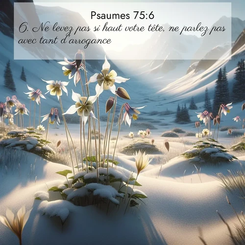 Segond21 Psaumes  ; image nature: image avec le verset biblique :Ne levez pas si haut votre tête, ne parlez pas avec tant d&#039;arrogance, ;  ; 75:6
