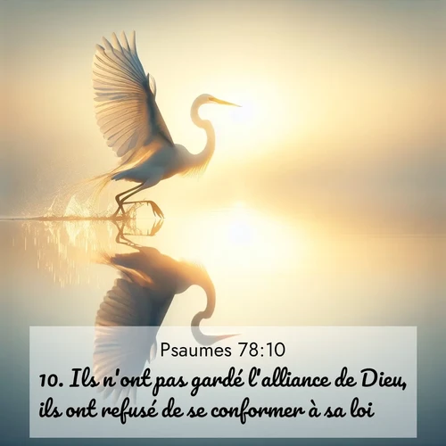 Segond21 Psaumes  ; image nature: image avec le verset biblique :Ils n&#039;ont pas gardé l&#039;alliance de Dieu, ils ont refusé de se conformer à sa loi. ;  ; 78:10