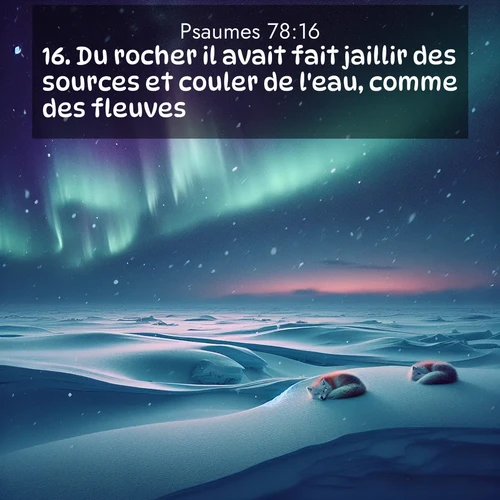 Segond21 Psaumes  ; image nature: image avec le verset biblique :Du rocher il avait fait jaillir des sources et couler de l&#039;eau, comme des fleuves. ;  ; 78:16