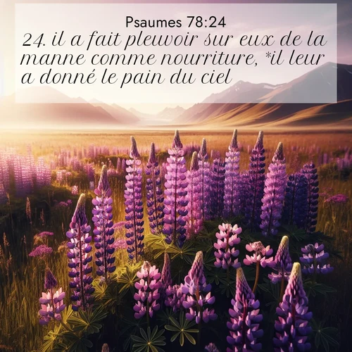 Segond21 Psaumes  ; image nature: image avec le verset biblique :il a fait pleuvoir sur eux de la manne comme nourriture, *il leur a donné le pain du ciel. ;  ; 78:24