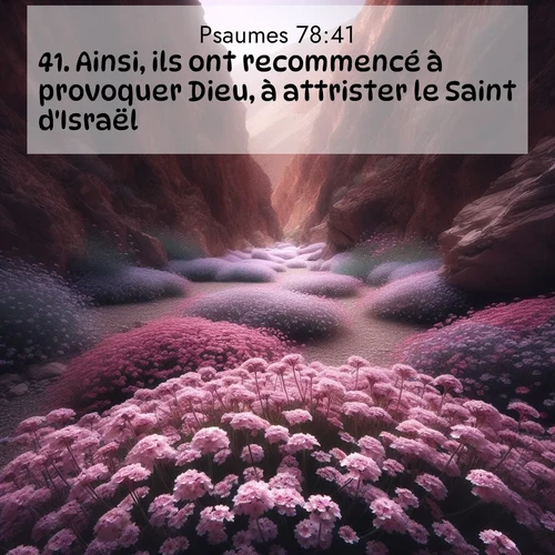 Segond21 Psaumes  ; image nature: image avec le verset biblique :Ainsi, ils ont recommencé à provoquer Dieu, à attrister le Saint d&#039;Israël. ;  ; 78:41
