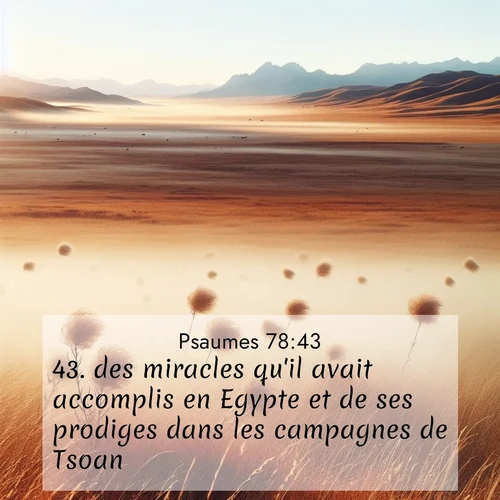 Segond21 Psaumes  ; image nature: image avec le verset biblique :des miracles qu&#039;il avait accomplis en Egypte et de ses prodiges dans les campagnes de Tsoan: ;  ; 78:43