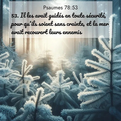 Segond21 Psaumes  ; image nature: image avec le verset biblique :Il les avait guidés en toute sécurité, pour qu&#039;ils soient sans crainte, et la mer avait recouvert leurs ennemis. ;  ; 78:53
