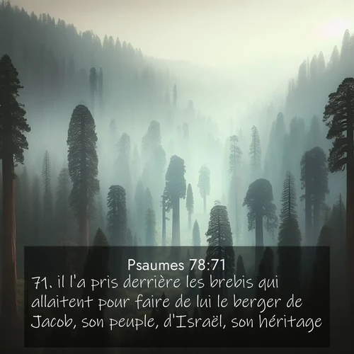 Segond21 Psaumes  ; image nature: image avec le verset biblique :il l&#039;a pris derrière les brebis qui allaitent pour faire de lui le berger de Jacob, son peuple, d&#039;Israël, son héritage. ;  ; 78:71