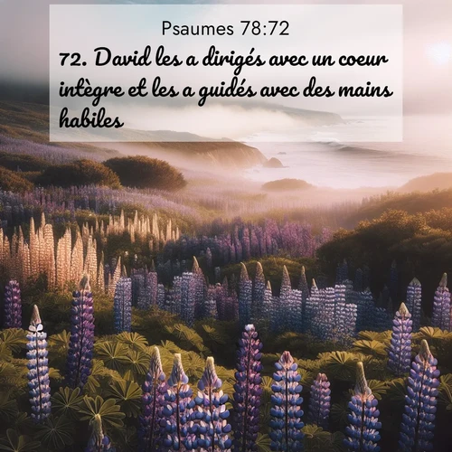 Segond21 Psaumes  ; image nature: image avec le verset biblique :David les a dirigés avec un coeur intègre et les a guidés avec des mains habiles. ;  ; 78:72