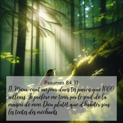 Segond21 Psaumes  ; image nature: image avec le verset biblique :Mieux vaut un jour dans tes parvis que 1000 ailleurs. Je préfère me tenir sur le seuil de la maison de mon Dieu plutôt que d&#039;habiter sous les tentes des méchants, ;  ; 84:11