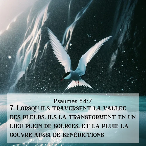 Segond21 Psaumes  ; image nature: image avec le verset biblique :Lorsqu&#039;ils traversent la vallée des pleurs, ils la transforment en un lieu plein de sources, et la pluie la couvre aussi de bénédictions. ;  ; 84:7
