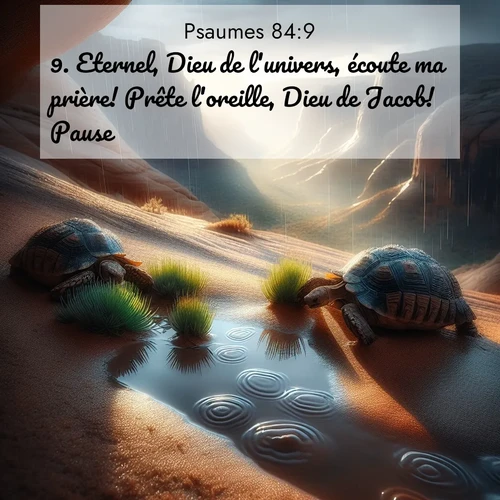 Segond21 Psaumes  ; image nature: image avec le verset biblique :Eternel, Dieu de l&#039;univers, écoute ma prière! Prête l&#039;oreille, Dieu de Jacob!           Pause. ;  ; 84:9