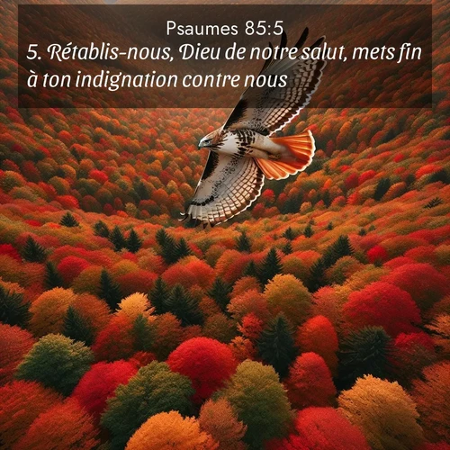Segond21 Psaumes  ; image nature: image avec le verset biblique :Rétablis-nous, Dieu de notre salut, mets fin à ton indignation contre nous! ;  ; 85:5