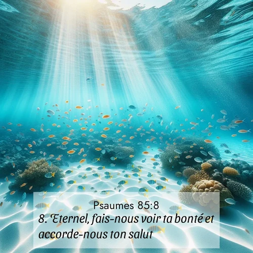 Segond21 Psaumes  ; image nature: image avec le verset biblique :Eternel, fais-nous voir ta bonté et accorde-nous ton salut! ;  ; 85:8