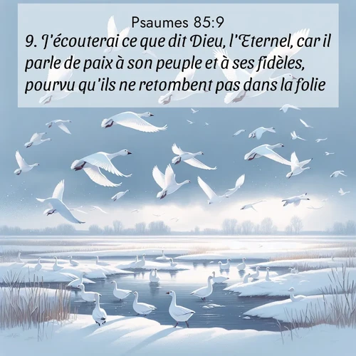 Segond21 Psaumes  ; image nature: image avec le verset biblique :J&#039;écouterai ce que dit Dieu, l&#039;Eternel, car il parle de paix à son peuple et à ses fidèles, pourvu qu&#039;ils ne retombent pas dans la folie. ;  ; 85:9