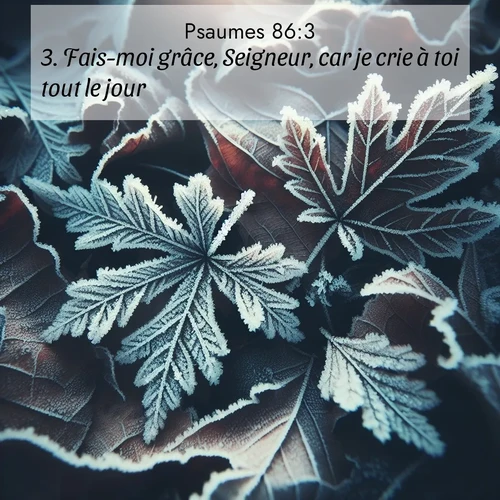 Segond21 Psaumes  ; image nature: image avec le verset biblique :Fais-moi grâce, Seigneur, car je crie à toi tout le jour. ;  ; 86:3