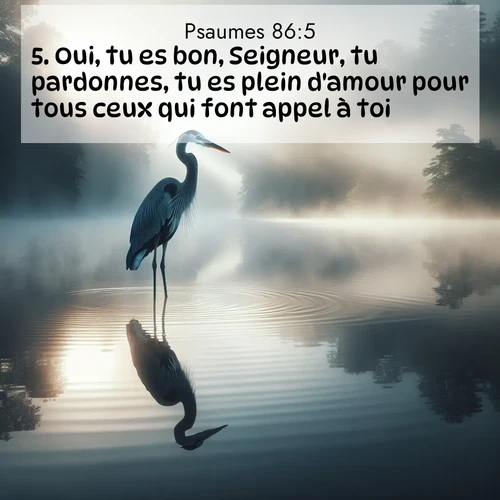 Segond21 Psaumes  ; image nature: image avec le verset biblique :Oui, tu es bon, Seigneur, tu pardonnes, tu es plein d&#039;amour pour tous ceux qui font appel à toi. ;  ; 86:5