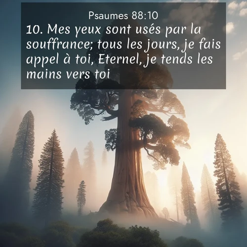 Segond21 Psaumes  ; image nature: image avec le verset biblique :Mes yeux sont usés par la souffrance; tous les jours, je fais appel à toi, Eternel, je tends les mains vers toi. ;  ; 88:10