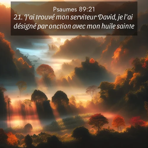 Segond21 Psaumes  ; image nature: image avec le verset biblique :J&#039;ai trouvé mon serviteur David, je l&#039;ai désigné par onction avec mon huile sainte. ;  ; 89:21