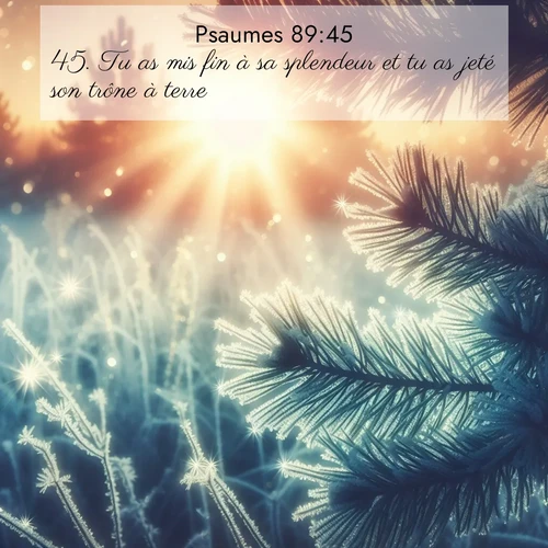Segond21 Psaumes  ; image nature: image avec le verset biblique :Tu as mis fin à sa splendeur et tu as jeté son trône à terre; ;  ; 89:45