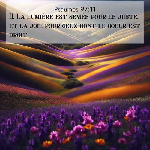 Segond21 Psaumes  ; image nature: image avec le verset biblique :La lumière est semée pour le juste, et la joie pour ceux dont le coeur est droit. ;  ; 97:11