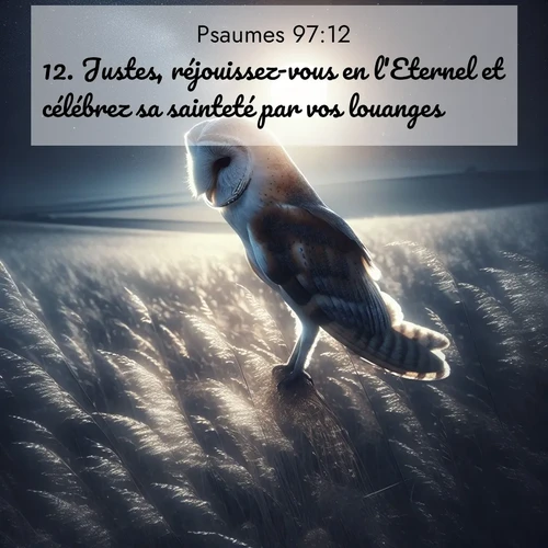 Segond21 Psaumes  ; image nature: image avec le verset biblique :Justes, réjouissez-vous en l&#039;Eternel et célébrez sa sainteté par vos louanges! ;  ; 97:12
