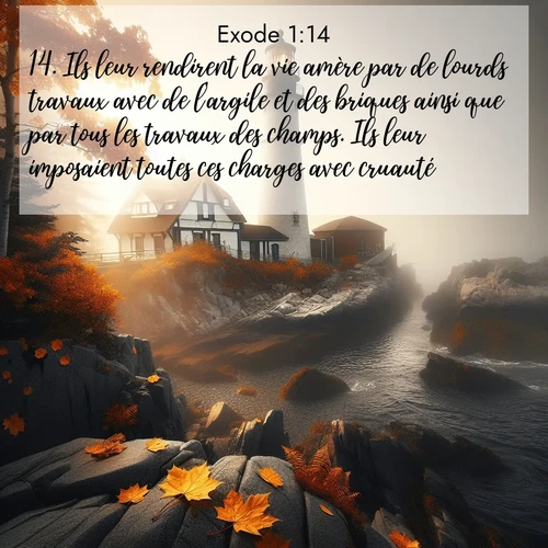 Segond21 Exode  ; image nature: image avec le verset biblique :Ils leur rendirent la vie amère par de lourds travaux avec de l&#039;argile et des briques ainsi que par tous les travaux des champs. Ils leur imposaient toutes ces charges avec cruauté. ;  ; 1:14