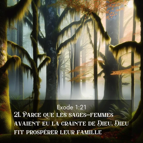 Segond21 Exode  ; image nature: image avec le verset biblique :Parce que les sages-femmes avaient eu la crainte de Dieu, Dieu fit prospérer leur famille. ;  ; 1:21