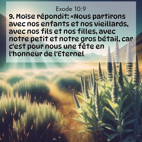 Segond21 Exode  ; image nature: image avec le verset biblique :Moïse répondit: «Nous partirons avec nos enfants et nos vieillards, avec nos fils et nos filles, avec notre petit et notre gros bétail, car c&#039;est pour nous une fête en l&#039;honneur de l&#039;Eternel.» ;  ; 10:9