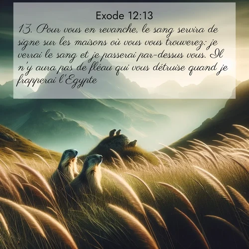 Segond21 Exode  ; image nature: image avec le verset biblique :Pour vous en revanche, le sang servira de signe sur les maisons où vous vous trouverez: je verrai le sang et je passerai par-dessus vous. Il n&#039;y aura pas de fléau qui vous détruise quand je frapperai l&#039;Egypte. ;  ; 12:13
