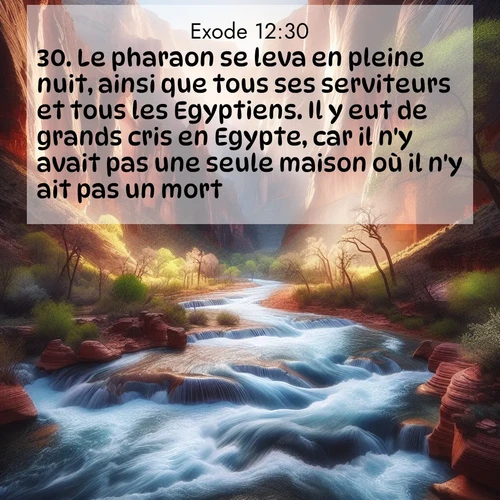 Segond21 Exode  ; image nature: image avec le verset biblique :Le pharaon se leva en pleine nuit, ainsi que tous ses serviteurs et tous les Egyptiens. Il y eut de grands cris en Egypte, car il n&#039;y avait pas une seule maison où il n&#039;y ait pas un mort. ;  ; 12:30
