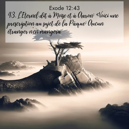 Segond21 Exode  ; image nature: image avec le verset biblique :L&#039;Eternel dit à Moïse et à Aaron: «Voici une prescription au sujet de la Pâque: Aucun étranger n&#039;en mangera. ;  ; 12:43