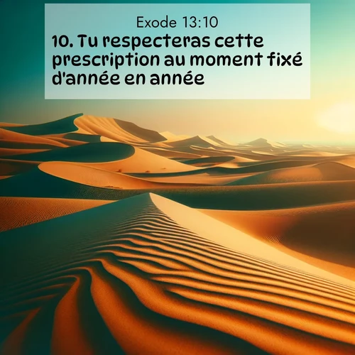 Segond21 Exode  ; image nature: image avec le verset biblique :Tu respecteras cette prescription au moment fixé d&#039;année en année. ;  ; 13:10
