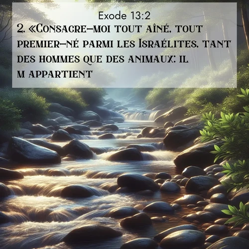 Segond21 Exode  ; image nature: image avec le verset biblique :«Consacre-moi tout aîné, tout premier-né parmi les Israélites, tant des hommes que des animaux: il m&#039;appartient.» ;  ; 13:2