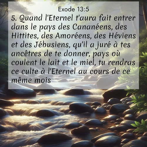 Segond21 Exode  ; image nature: image avec le verset biblique :Quand l&#039;Eternel t&#039;aura fait entrer dans le pays des Cananéens, des Hittites, des Amoréens, des Héviens et des Jébusiens, qu&#039;il a juré à tes ancêtres de te donner, pays où coulent le lait et le miel, tu rendras ce culte à l&#039;Eternel au cours de ce même mois. ;  ; 13:5
