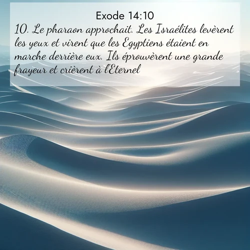 Segond21 Exode  ; image nature: image avec le verset biblique :Le pharaon approchait. Les Israélites levèrent les yeux et virent que les Egyptiens étaient en marche derrière eux. Ils éprouvèrent une grande frayeur et crièrent à l&#039;Eternel. ;  ; 14:10