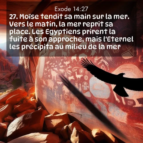 Segond21 Exode  ; image nature: image avec le verset biblique :Moïse tendit sa main sur la mer. Vers le matin, la mer reprit sa place. Les Egyptiens prirent la fuite à son approche, mais l&#039;Eternel les précipita au milieu de la mer. ;  ; 14:27